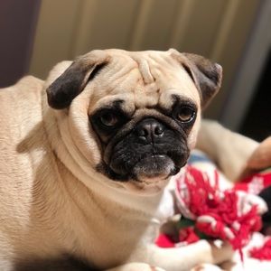 Meet your Posher, Mindy